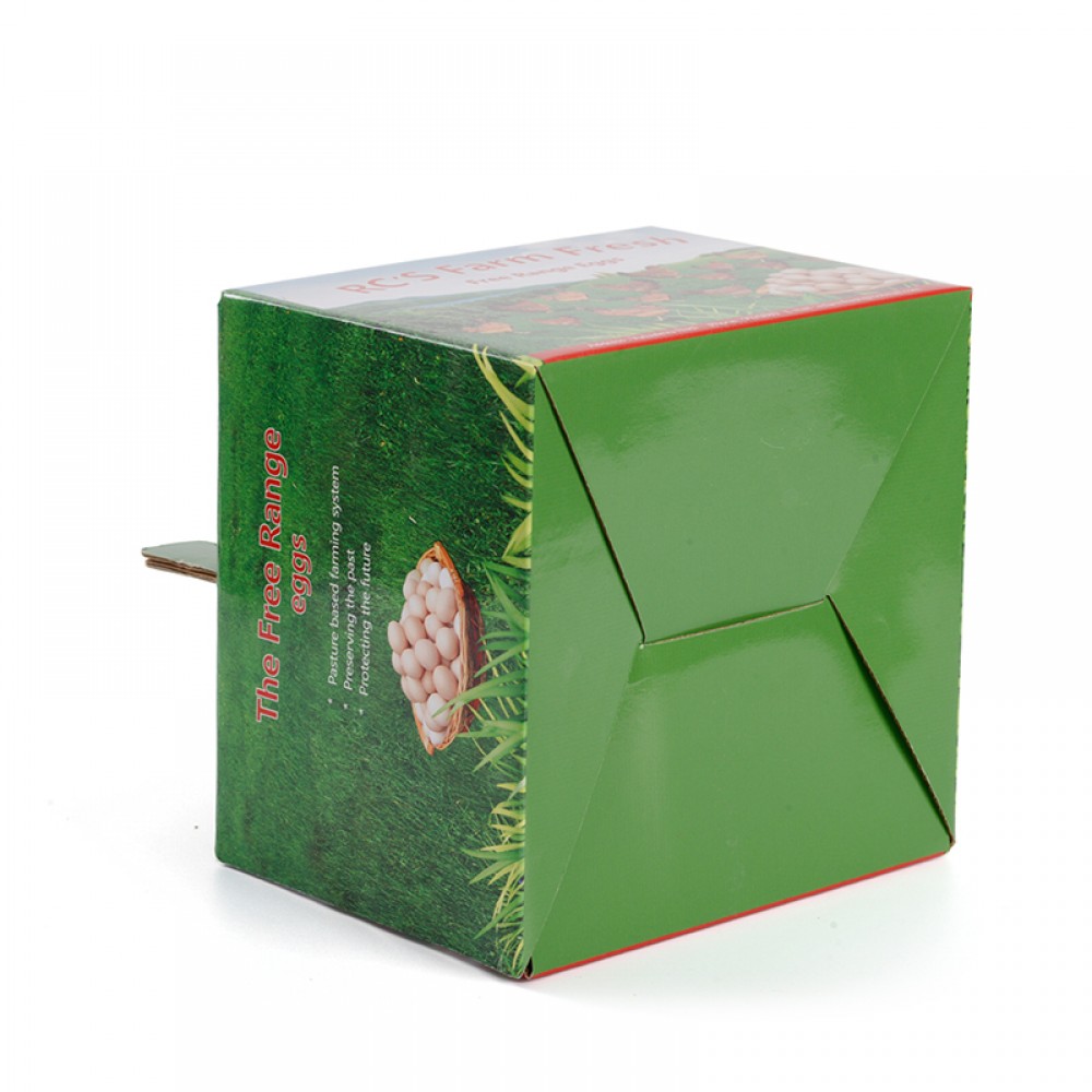 Boîtes de transport d'oeufs d'emballage de carton de papier ondulé