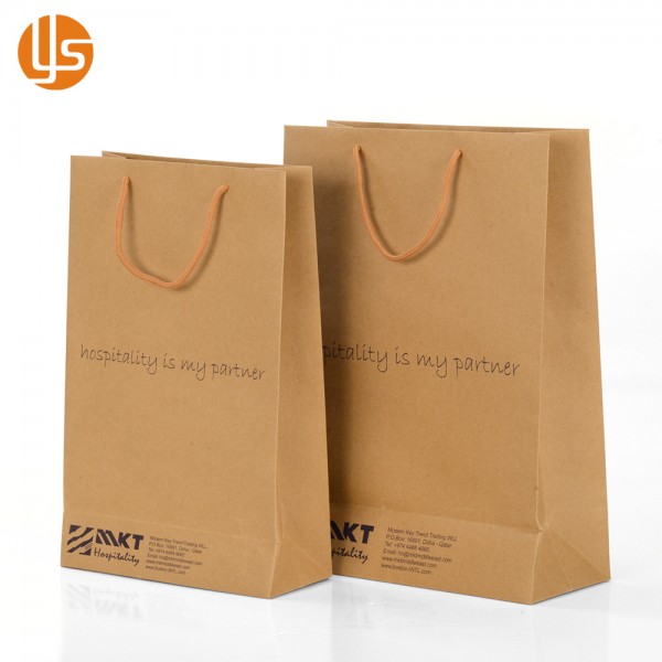Kraft Paper Shopping Bags with Different Sizes and Colors Competitive  Prices - China Shopping Bag and Paper Bag price