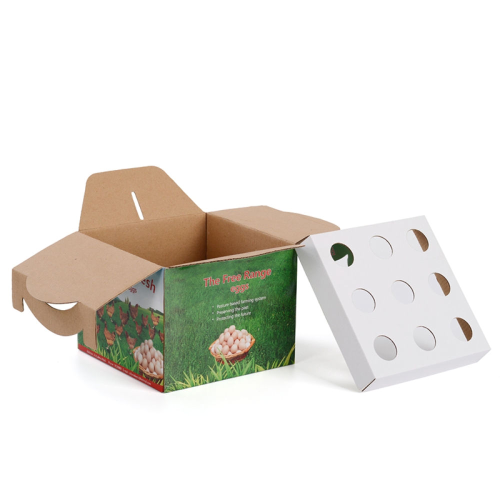 Corrugated Paper Carton Packaging Egg Carry Boxes