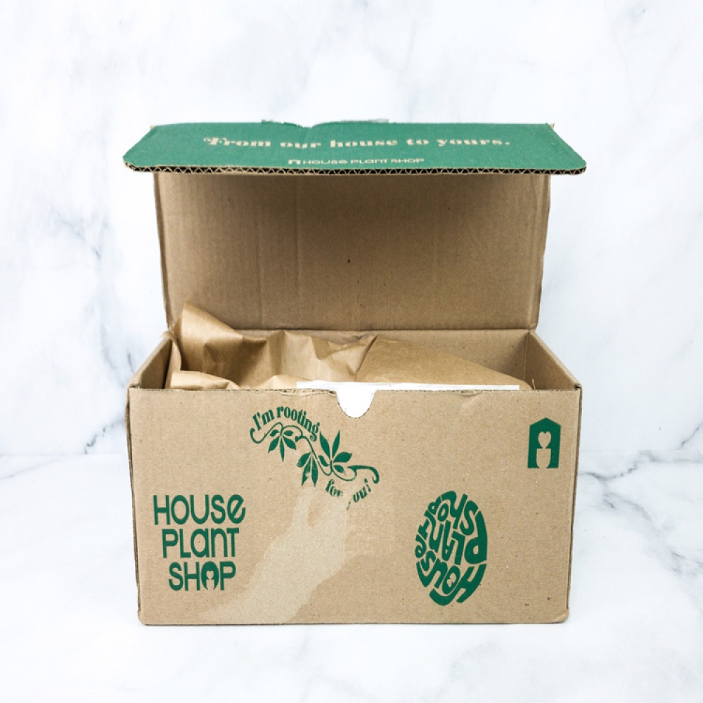 Custom corrugated potted live plant shipping packaging boxes