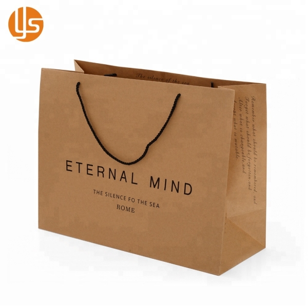 Printed Paper Shopping Craft Gift Custom Brown Kraft Paper Bag