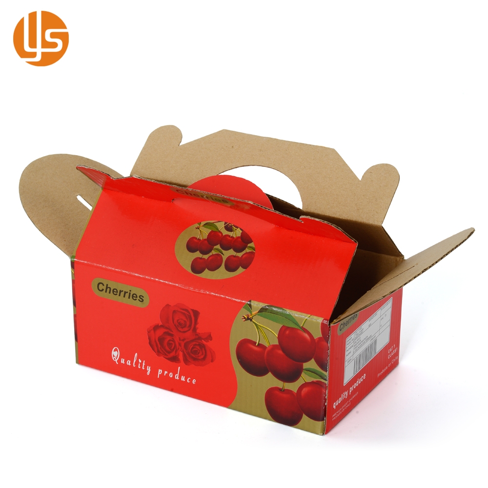 Custom double corrugated carton box vegetables fruit box