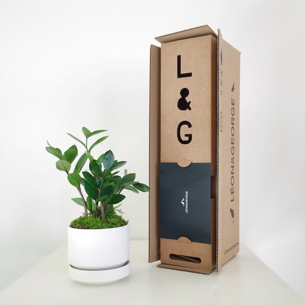 Custom corrugated potted live plant shipping packaging boxes